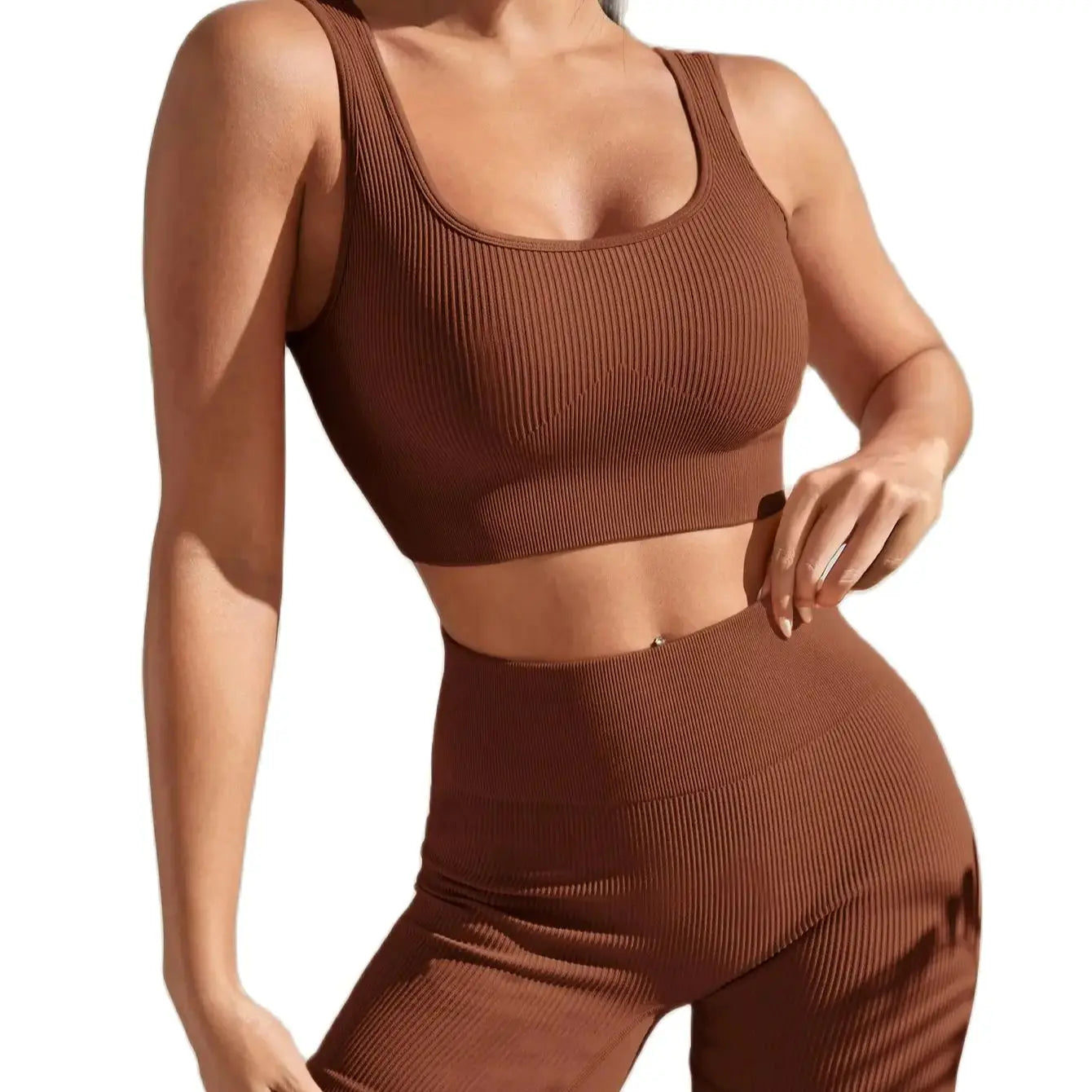 Seamless High Waist Yoga Set